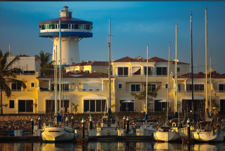 24.09.2024_08.59.11_REC