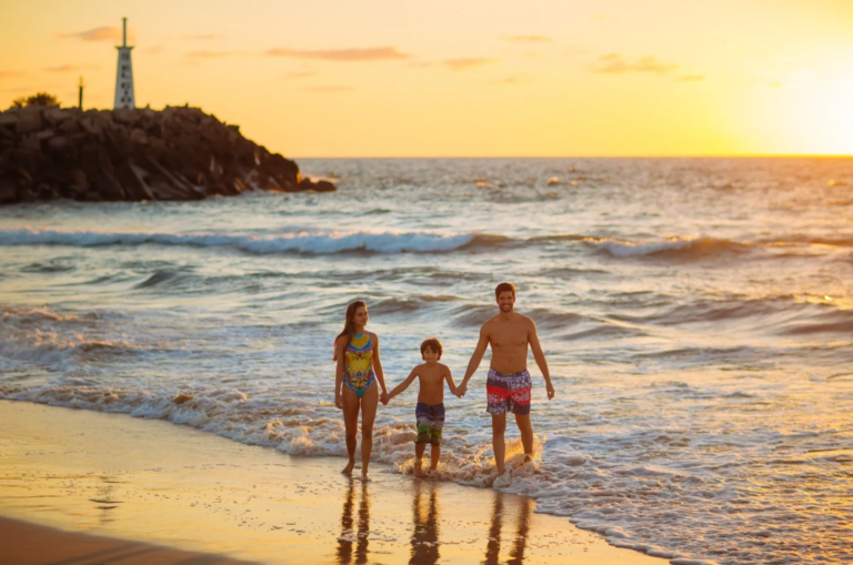 24.09.2024_08.59.35_REC