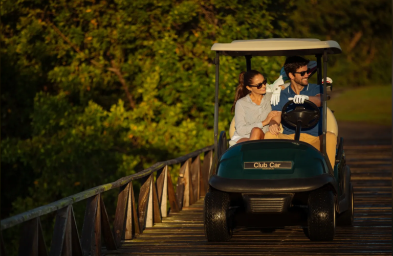 24.09.2024_08.59.53_REC