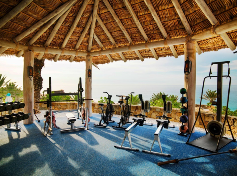 24.09.2024_10.33.56_REC