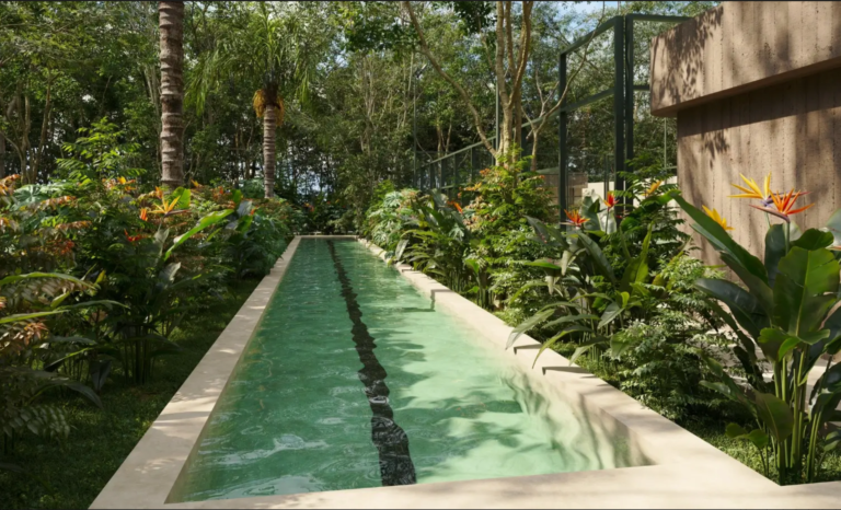 25.09.2024_11.22.32_REC