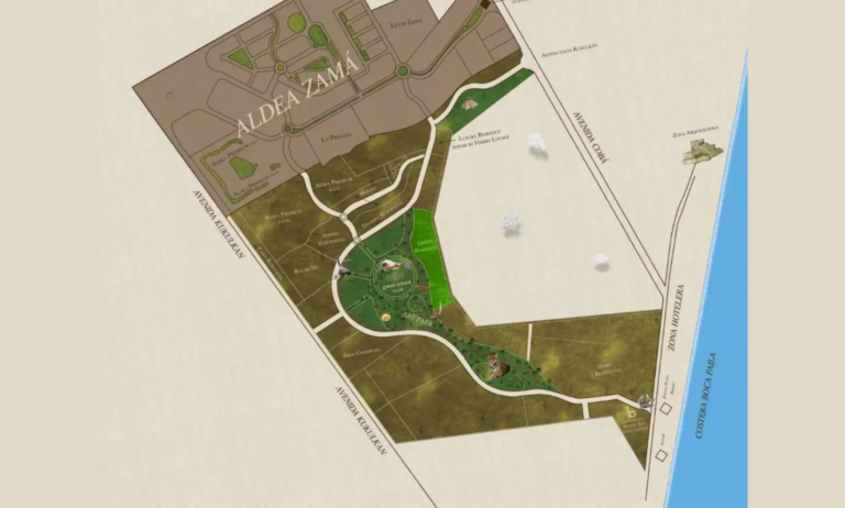 25.09.2024_11.24.57_REC