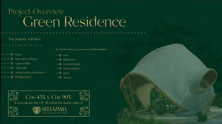 25.09.2024_11.25.50_REC