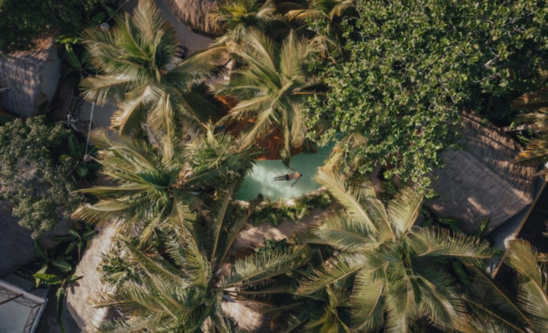 25.09.2024_11.41.52_REC