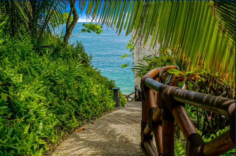 25.09.2024_17.46.52_REC